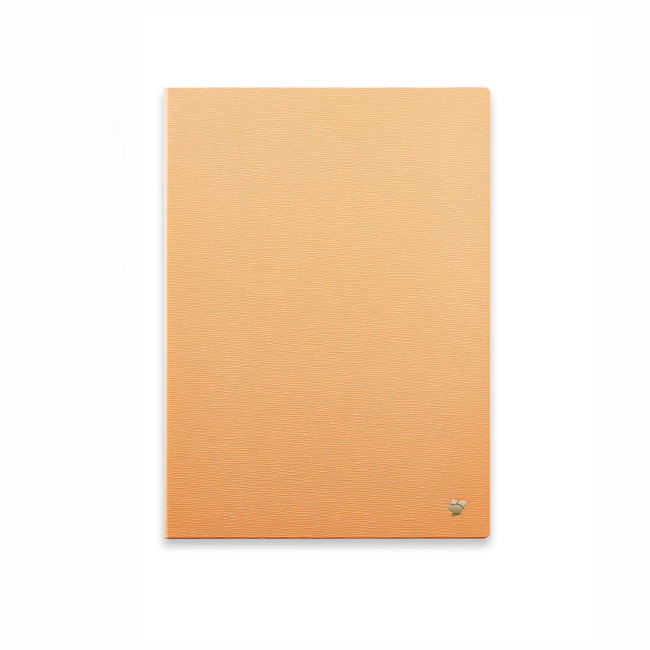 Protective Case(Sunrise) for AINOTE 2