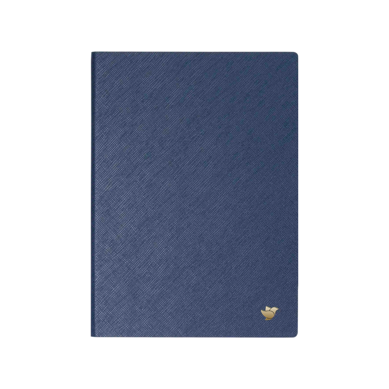 Protective Case for AINOTE AIR 2